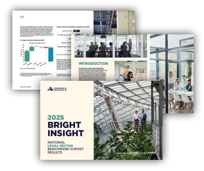 bright-insight-2025-digital assets- web thumbnail.jpg