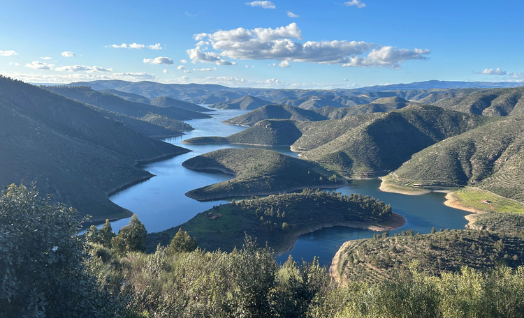 Cushman & Wakefield selected to value forestry and agricultural portfolio exceeding 7,000 hectares
