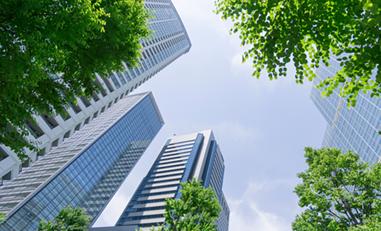 Climate Leaders 2025 Web Card.png