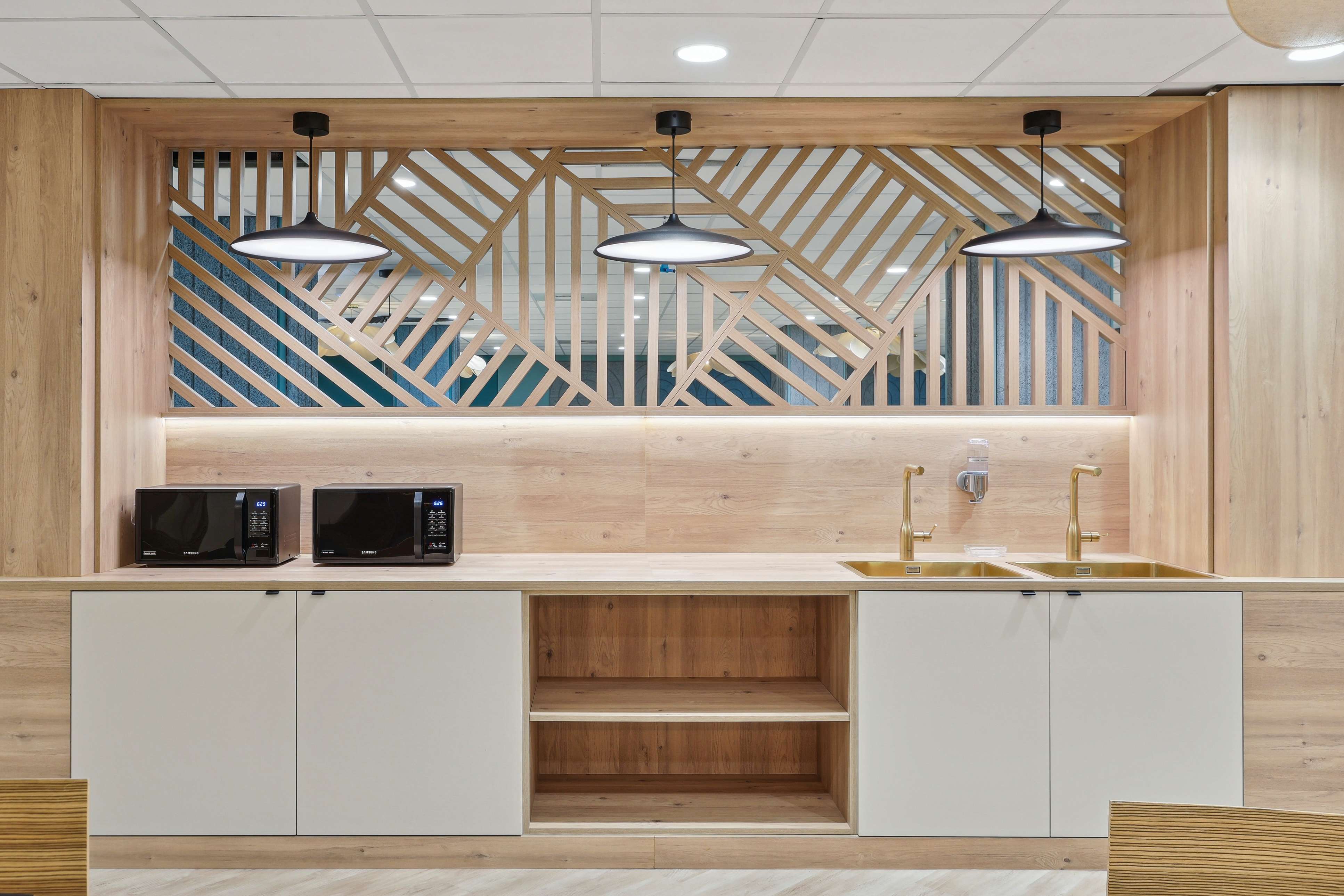 SG ANJOU - kitchen in front