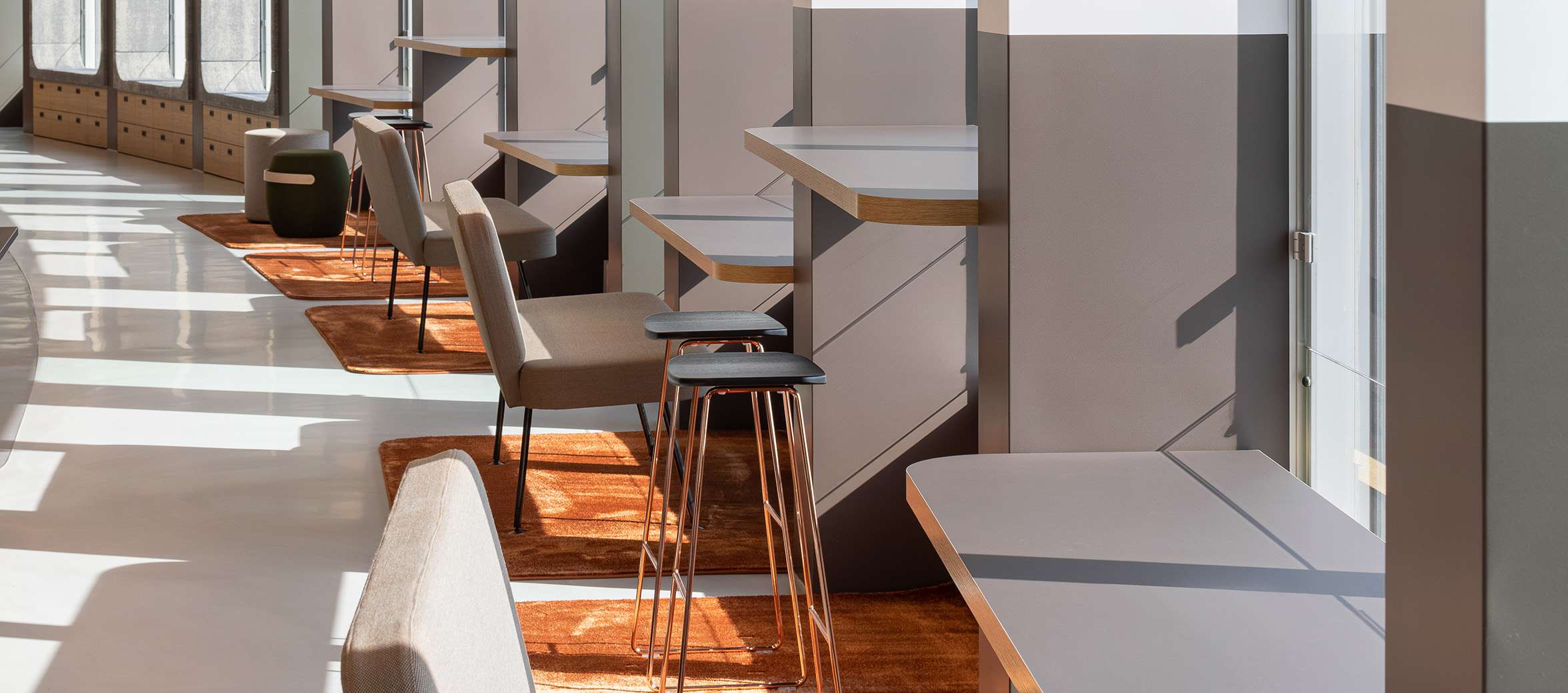 FOCG 2026 NLD research hero image