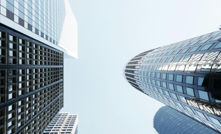 Office Tenants Profile Report_card image.png