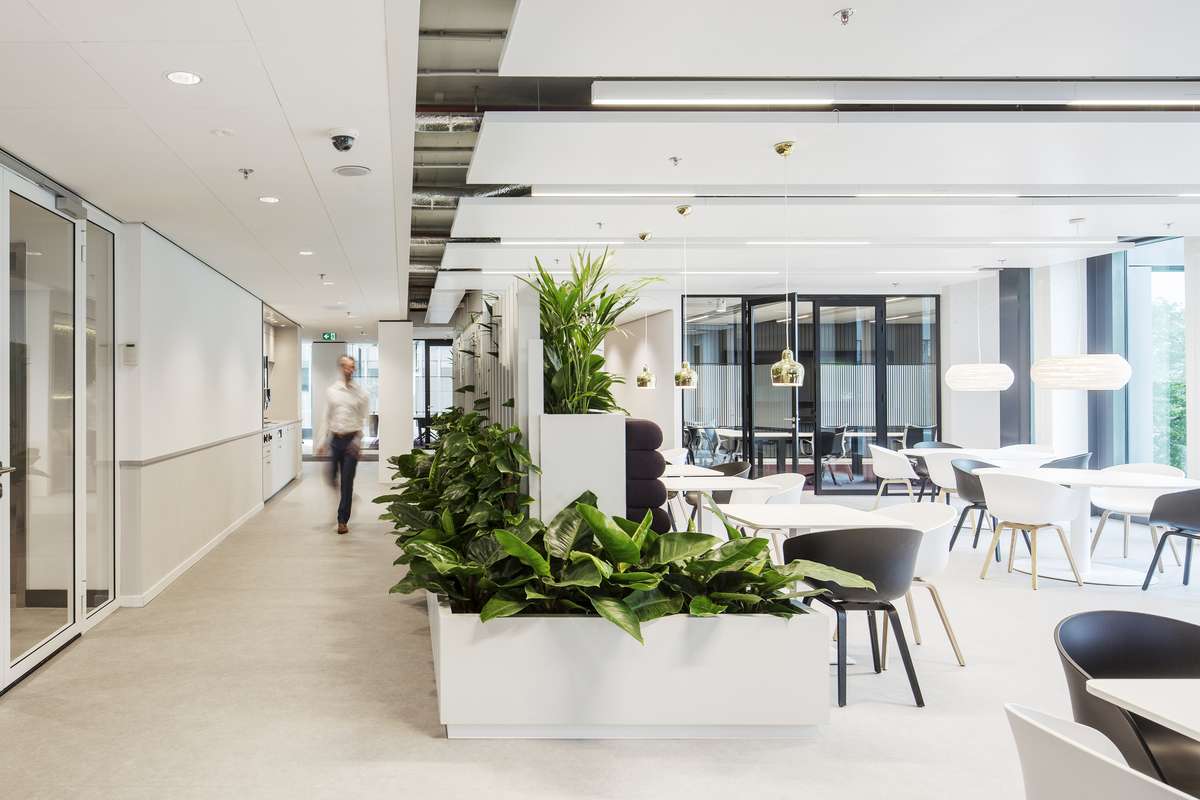 Ocean Network Express pantry