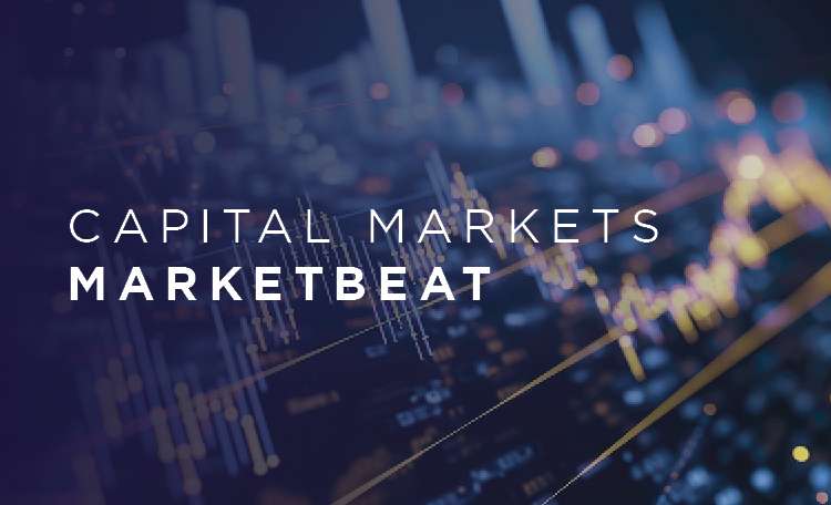 Japan Capital Investment image