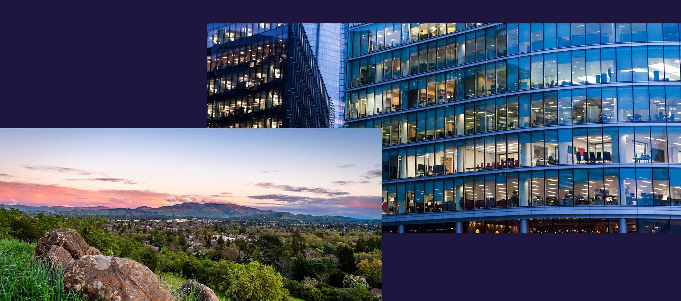 LG-HERO_marketbeat-digital-assets_Walnut Creek_east bay office.jpg