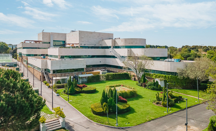 Vannilo Holding joins the Elcano building, owned by Barings, adding over 7,000 m² of occupied space