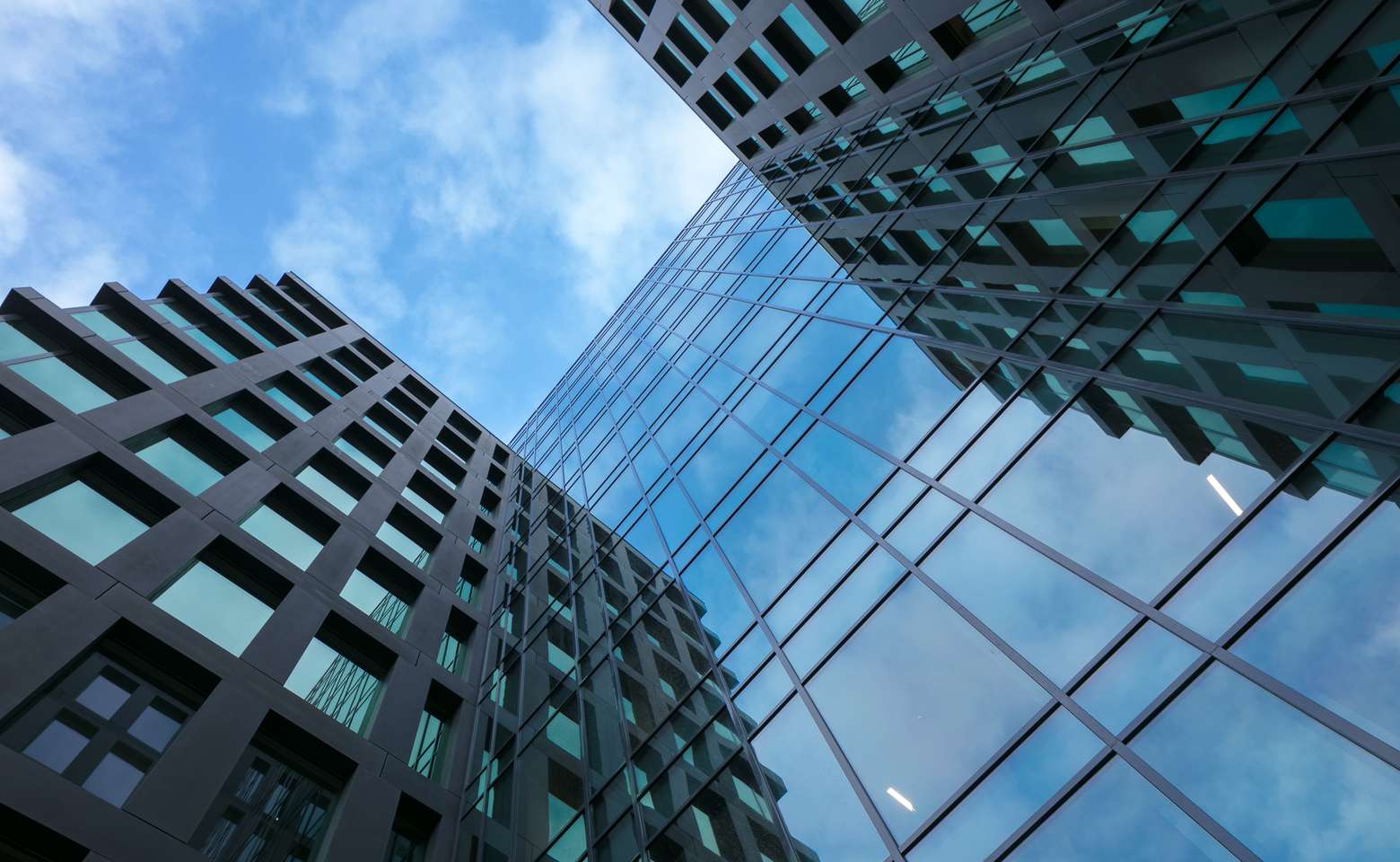 Blaak16 building window