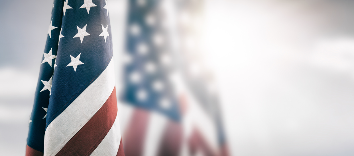 USA Flag