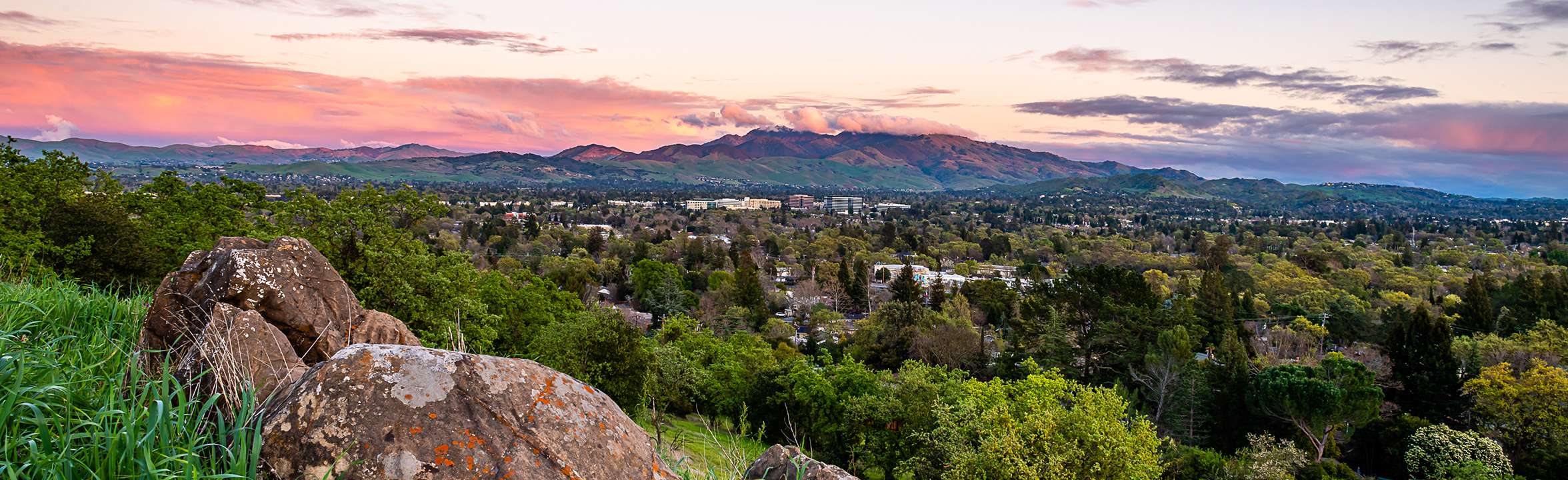 walnut creek skyline