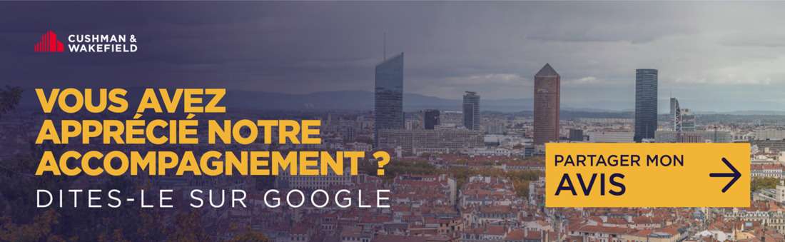 Review Generation Lyon