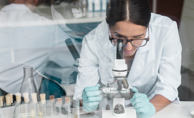 Life Sciences Sector Enters Measured Growth Phase Amid Slower Development and Rising Sales Activity