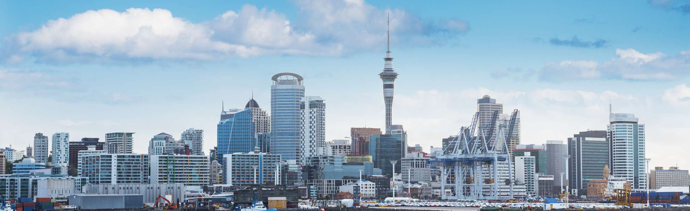 New Zealand Skyline.jpeg