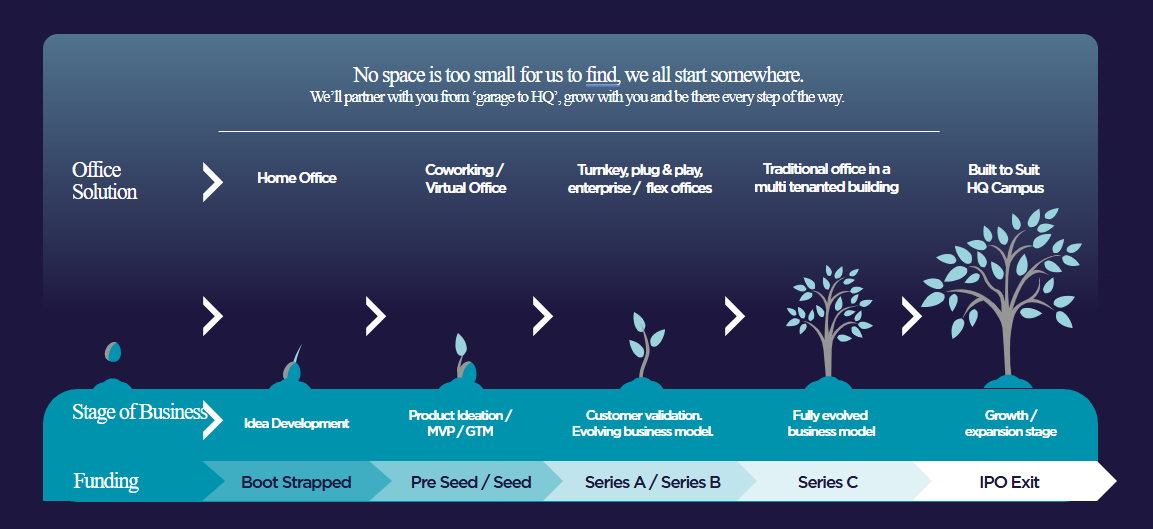 Tree Sappling infographic Updated.png