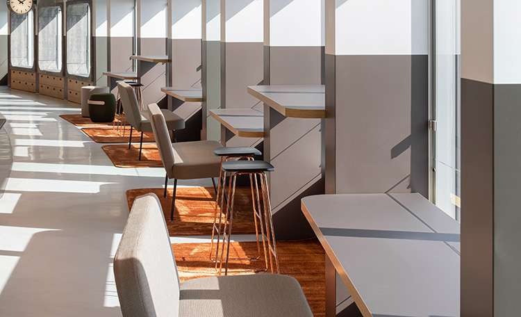 FOCG 2026 NLD webcard