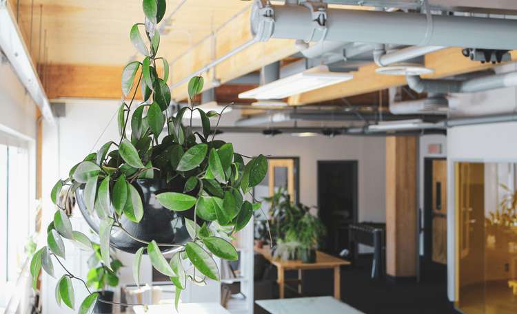 Air Quality in Buildings.jpg