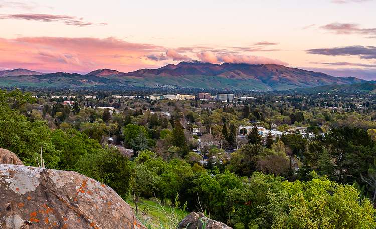 walnut creek skyline