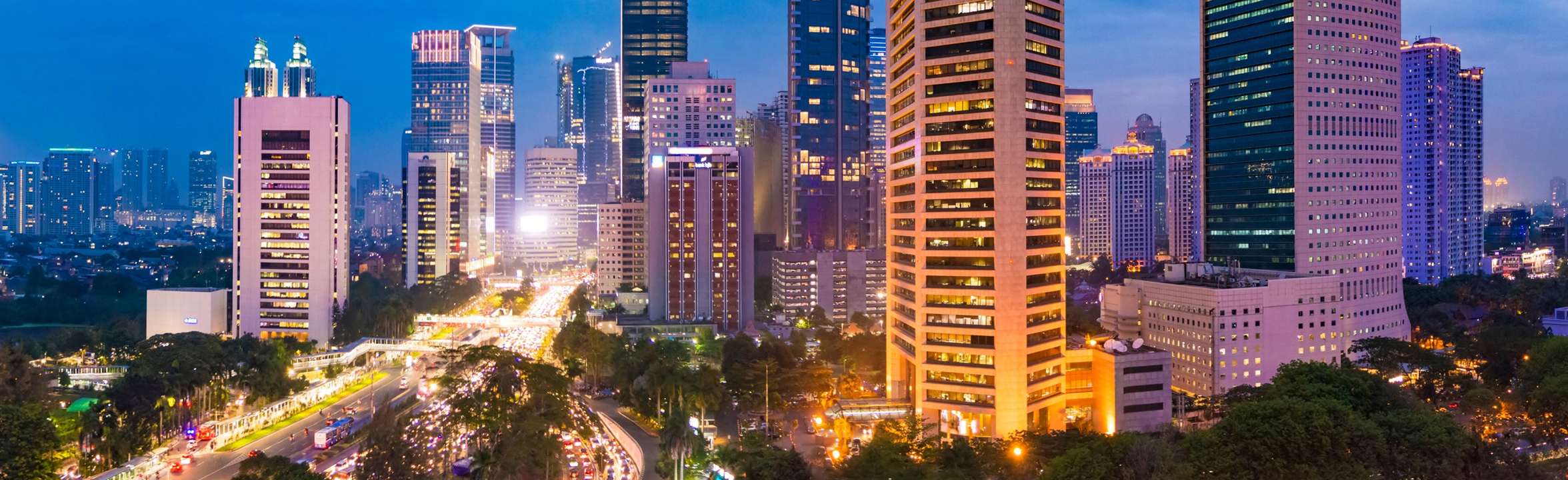 Plain - Banner Small - 2024 Year-End Press Conference.JPG