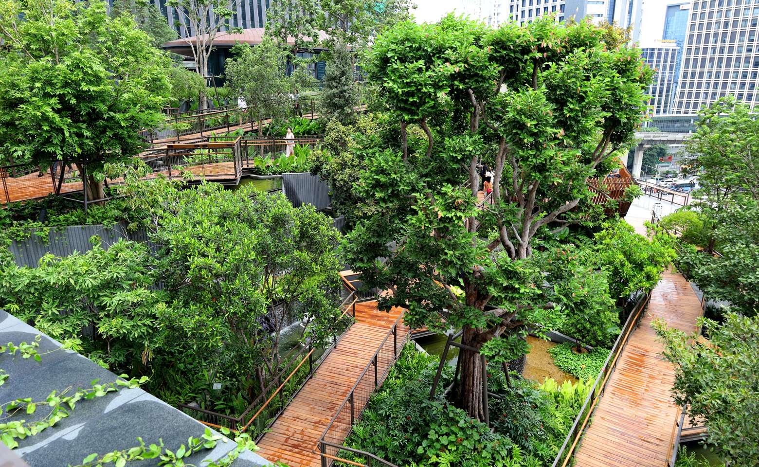 TH_Overview 6