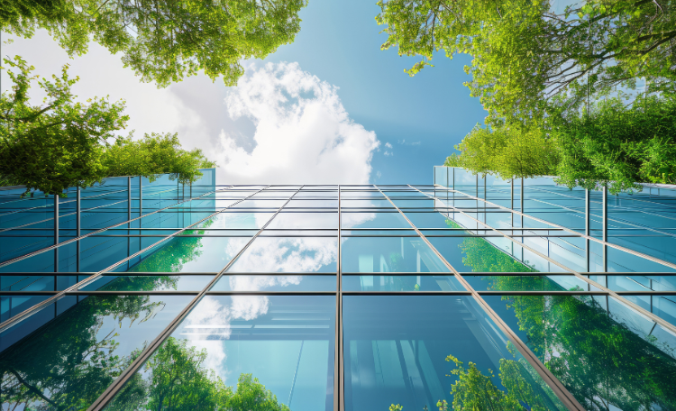 nota web argentina huella