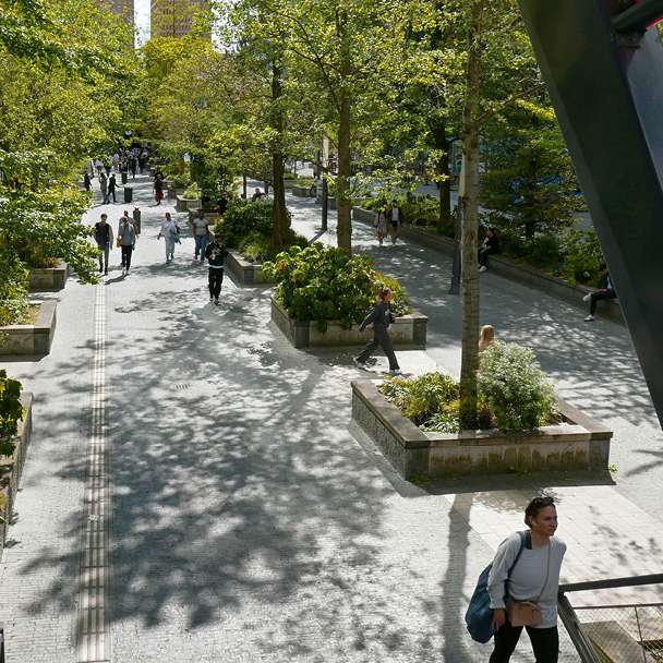 green trees park in city.jpg