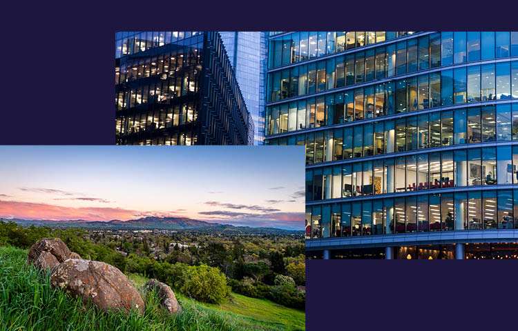MOBILE_marketbeat-digital-assets_Walnut Creek_east bay office.jpg