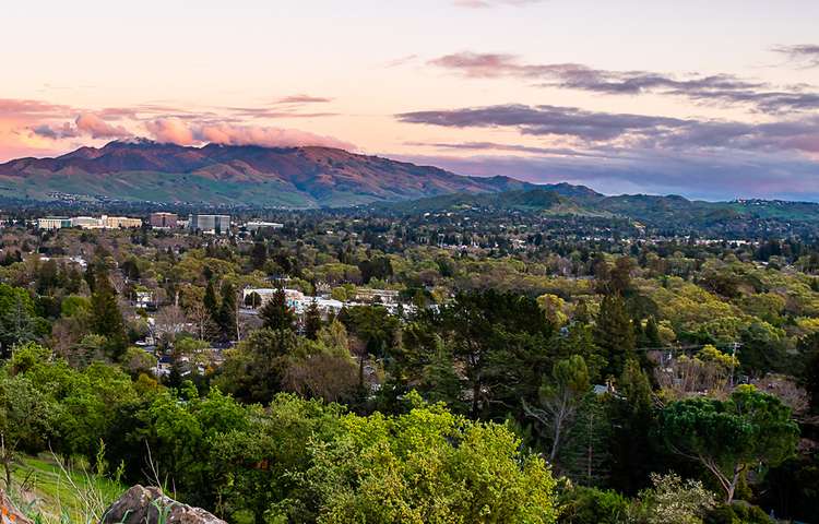 walnut creek skyline