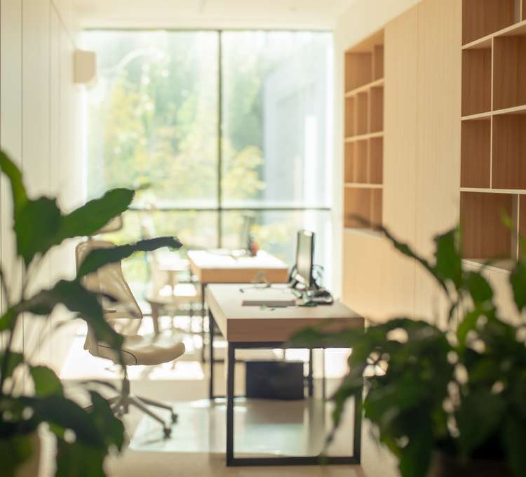 Office Space Plants Modern