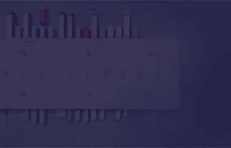 Web Banner.png