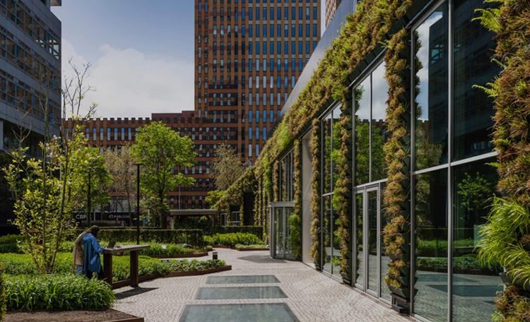 Cushman & Wakefield markets the Báltico building exclusively